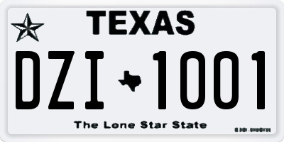 TX license plate DZI1001