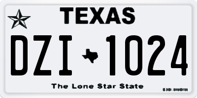 TX license plate DZI1024
