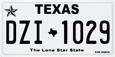 TX license plate DZI1029