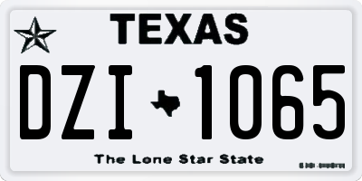 TX license plate DZI1065