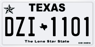 TX license plate DZI1101