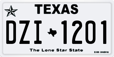 TX license plate DZI1201