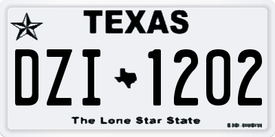 TX license plate DZI1202