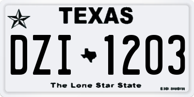 TX license plate DZI1203