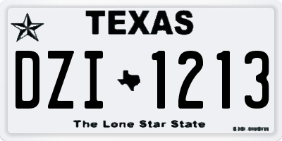 TX license plate DZI1213