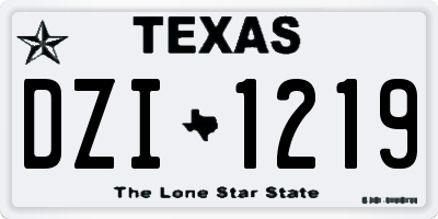 TX license plate DZI1219