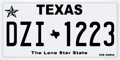 TX license plate DZI1223
