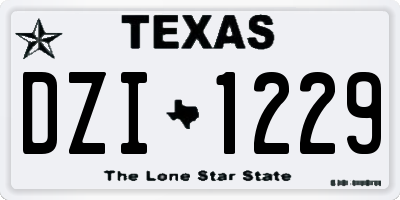 TX license plate DZI1229