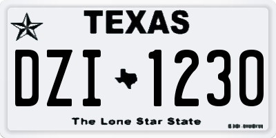 TX license plate DZI1230