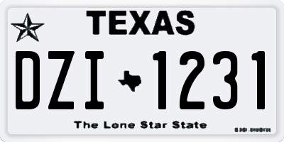 TX license plate DZI1231