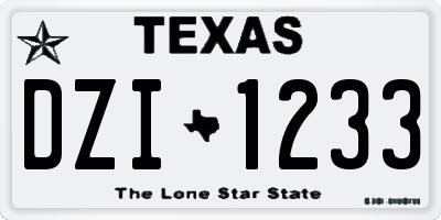 TX license plate DZI1233