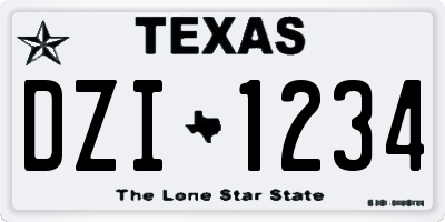 TX license plate DZI1234
