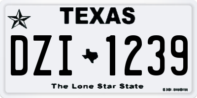 TX license plate DZI1239
