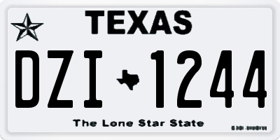 TX license plate DZI1244