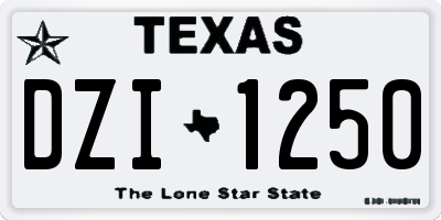 TX license plate DZI1250