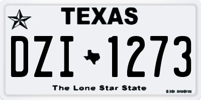 TX license plate DZI1273