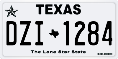 TX license plate DZI1284