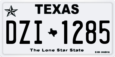 TX license plate DZI1285