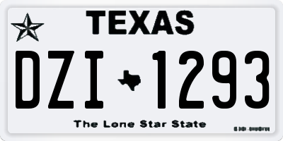 TX license plate DZI1293