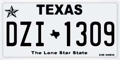 TX license plate DZI1309