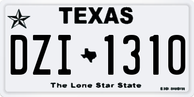 TX license plate DZI1310
