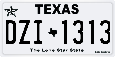 TX license plate DZI1313