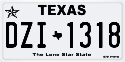 TX license plate DZI1318