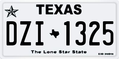 TX license plate DZI1325