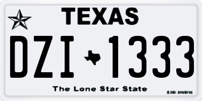 TX license plate DZI1333