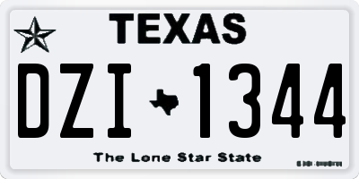 TX license plate DZI1344