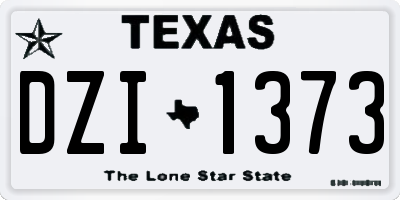 TX license plate DZI1373