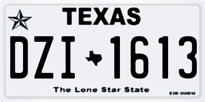TX license plate DZI1613