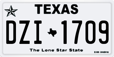 TX license plate DZI1709