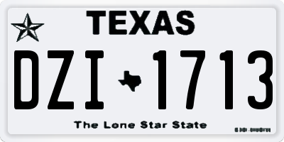 TX license plate DZI1713