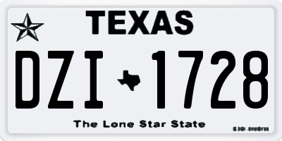TX license plate DZI1728