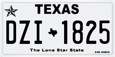 TX license plate DZI1825