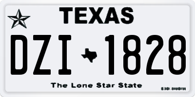 TX license plate DZI1828