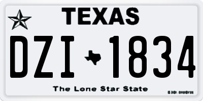 TX license plate DZI1834