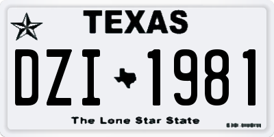 TX license plate DZI1981