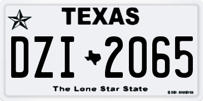 TX license plate DZI2065