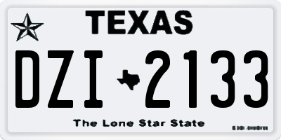 TX license plate DZI2133