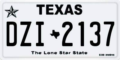 TX license plate DZI2137