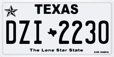 TX license plate DZI2230