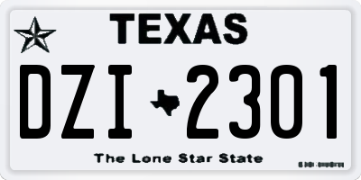TX license plate DZI2301