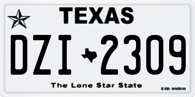 TX license plate DZI2309