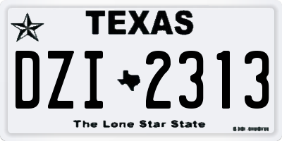 TX license plate DZI2313