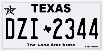 TX license plate DZI2344