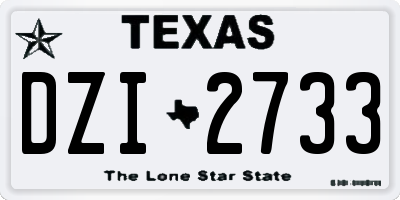 TX license plate DZI2733