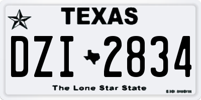 TX license plate DZI2834