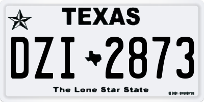TX license plate DZI2873